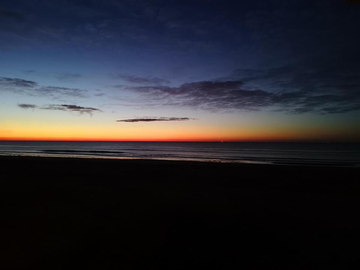 Nieuw * Petten